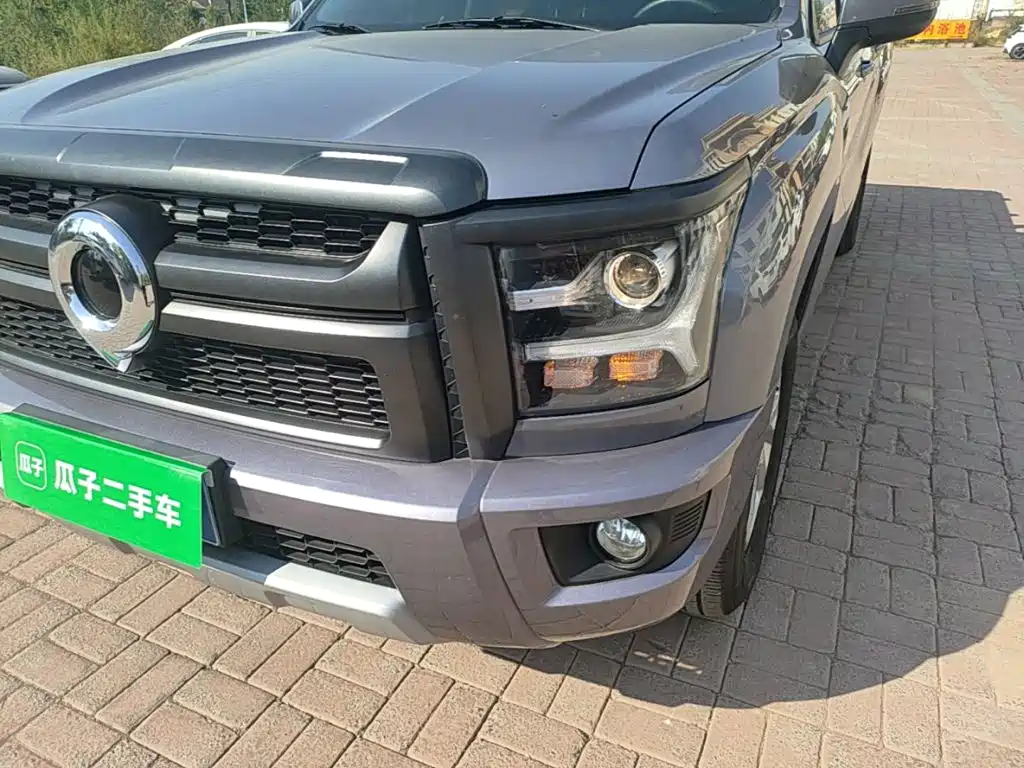 Great Wall King Kong Pao — миниатюра 24