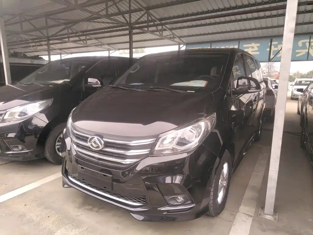 SAIC MAXUS CHASE G10