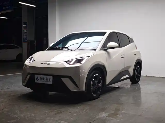2023 BYD Seagull