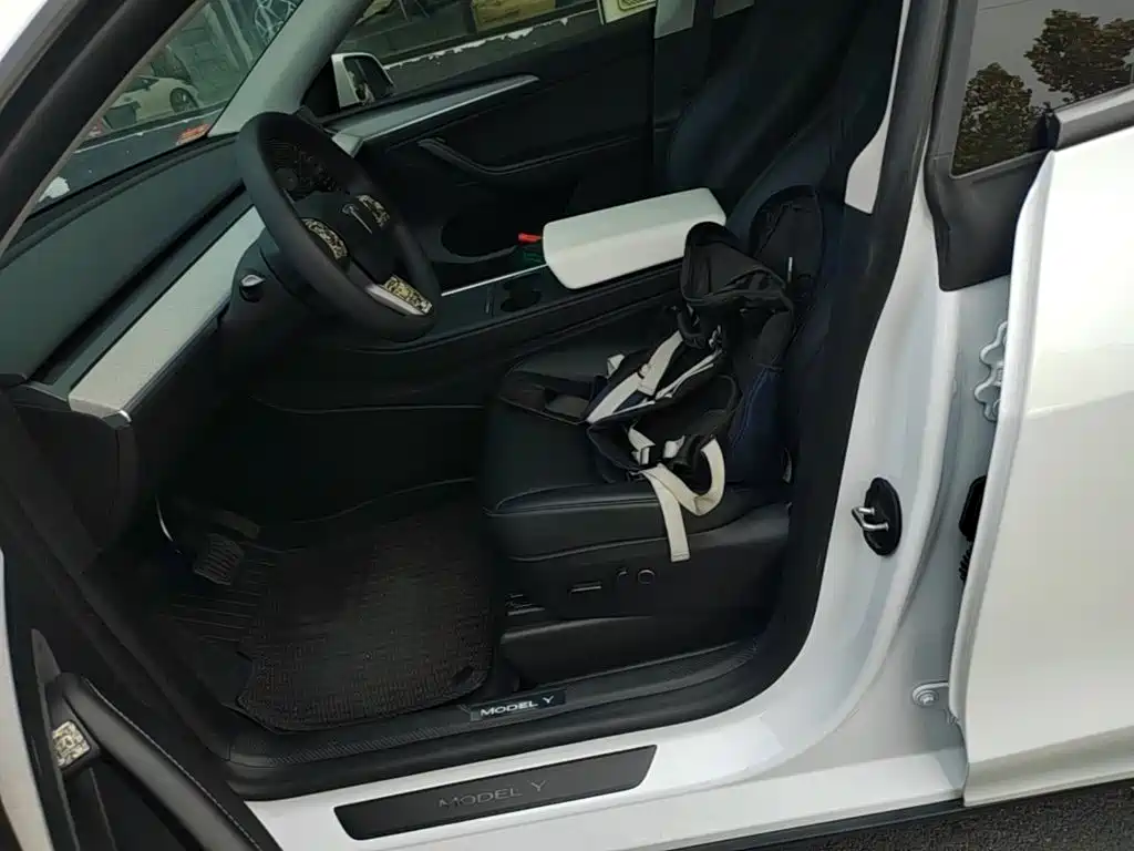 Tesla Model Y — миниатюра 15