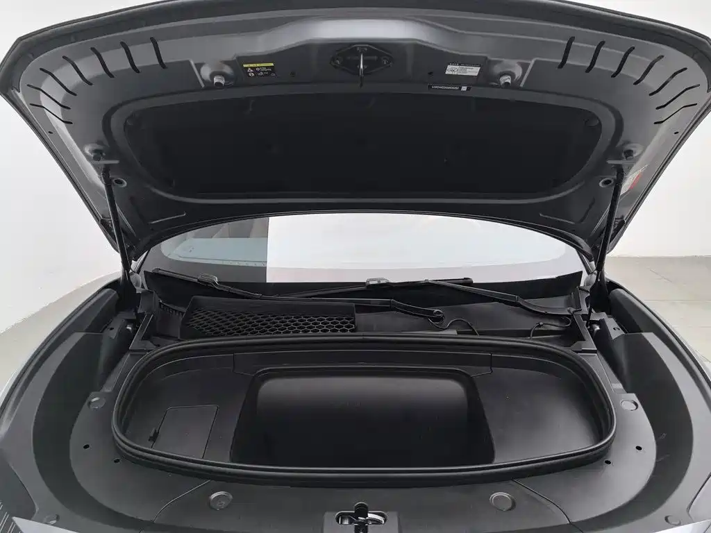 BYD L EV — миниатюра 6