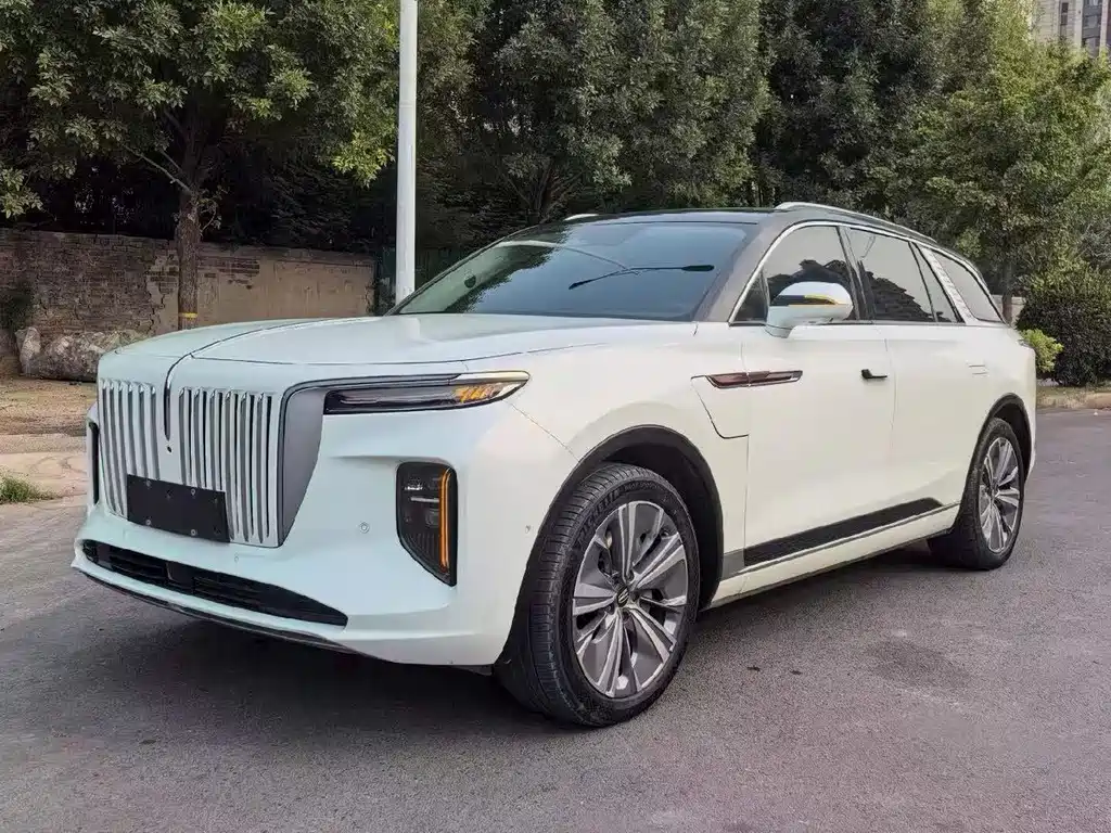 Hongqi Hongqi E-HS9