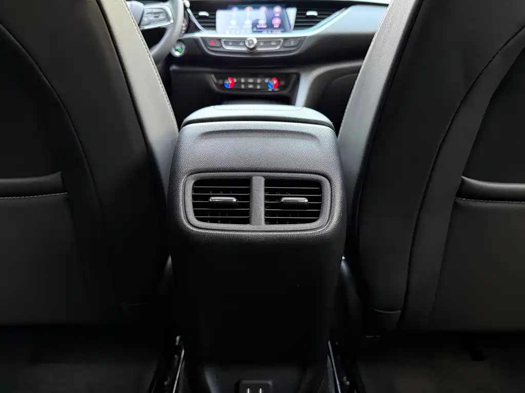 Buick Regal — миниатюра 15