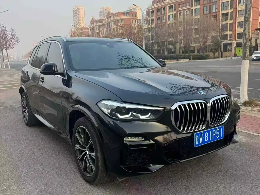 BMW X5 2019 xDrive30i M Sport