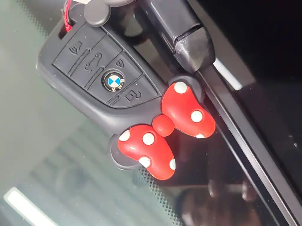 BMW X4 — миниатюра 9