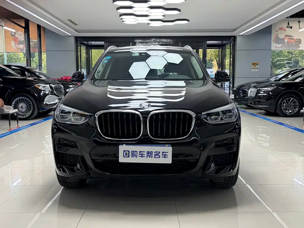 BMW X3 — миниатюра 2