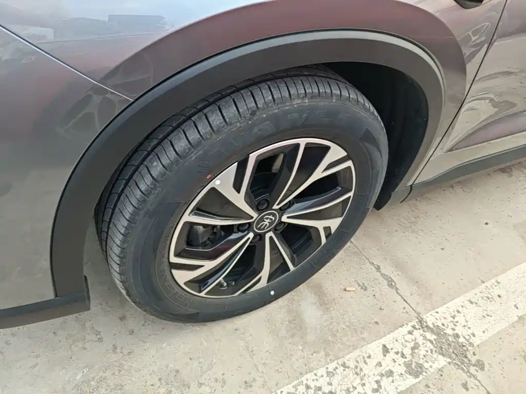 BYD Pro New Energy — миниатюра 23
