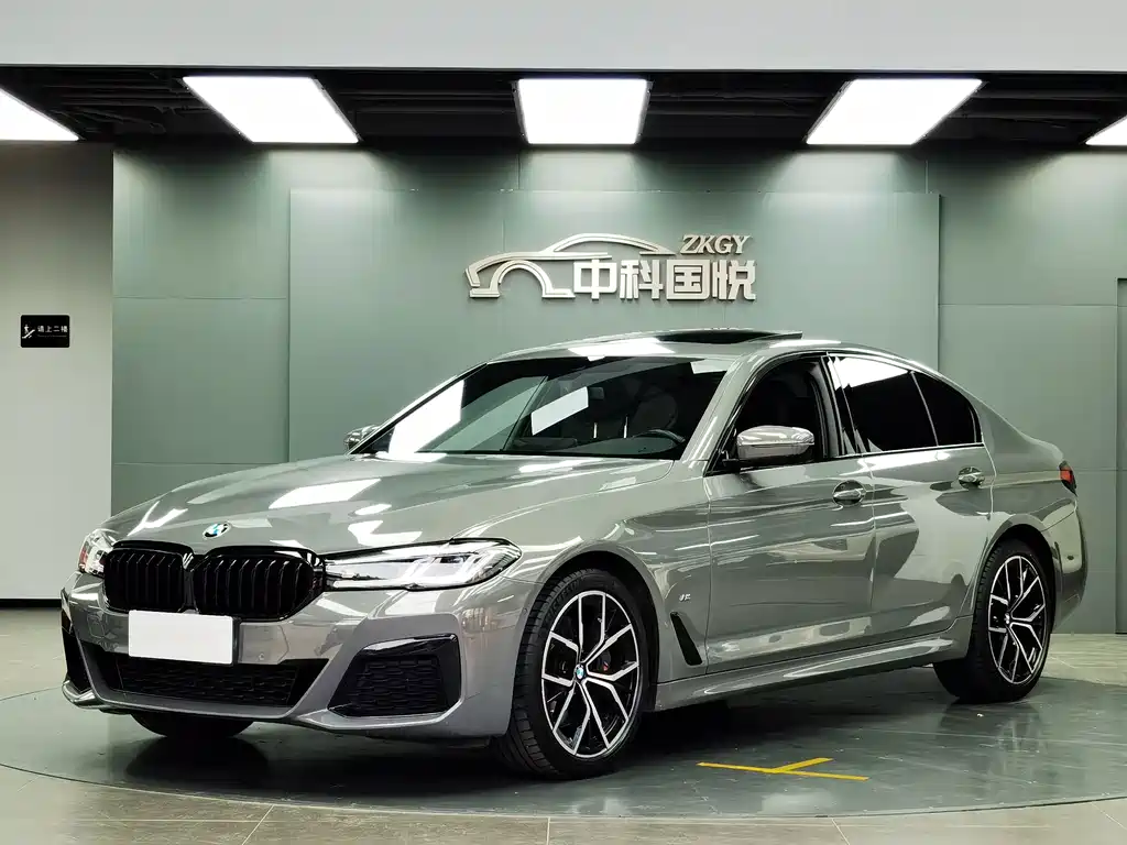 BMW 5 Series (Import)