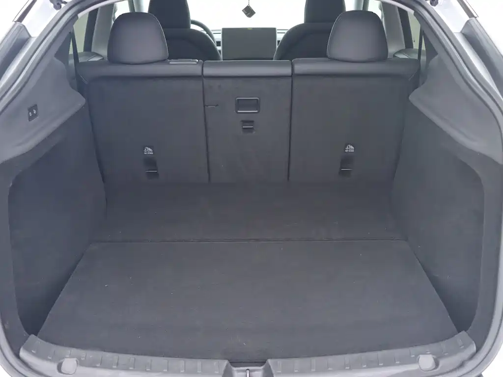 Tesla Model Y — миниатюра 19