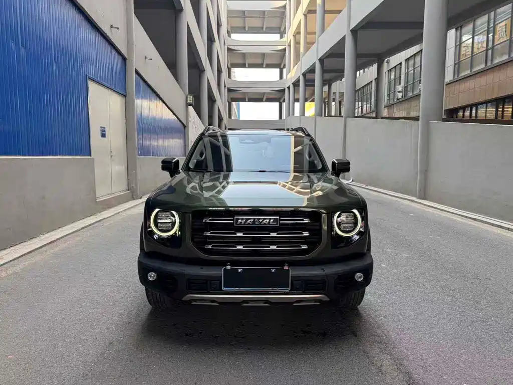 HAVAL BIG DOG