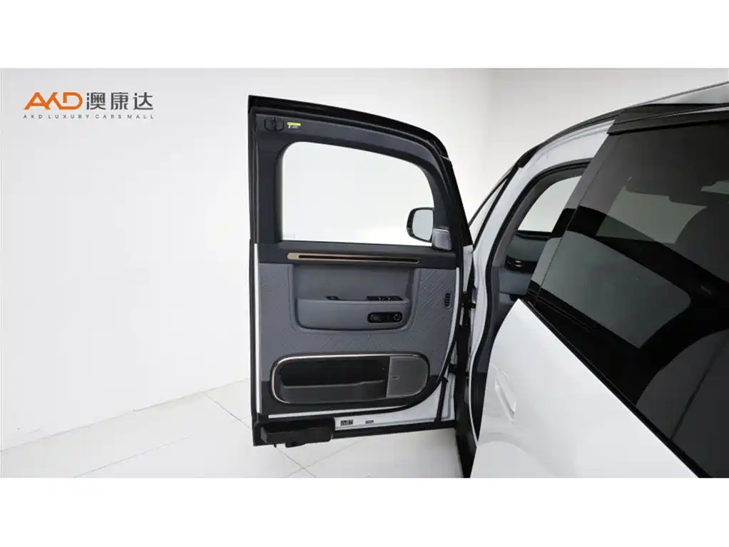 Zeekr Mix 2025 Smart Drive