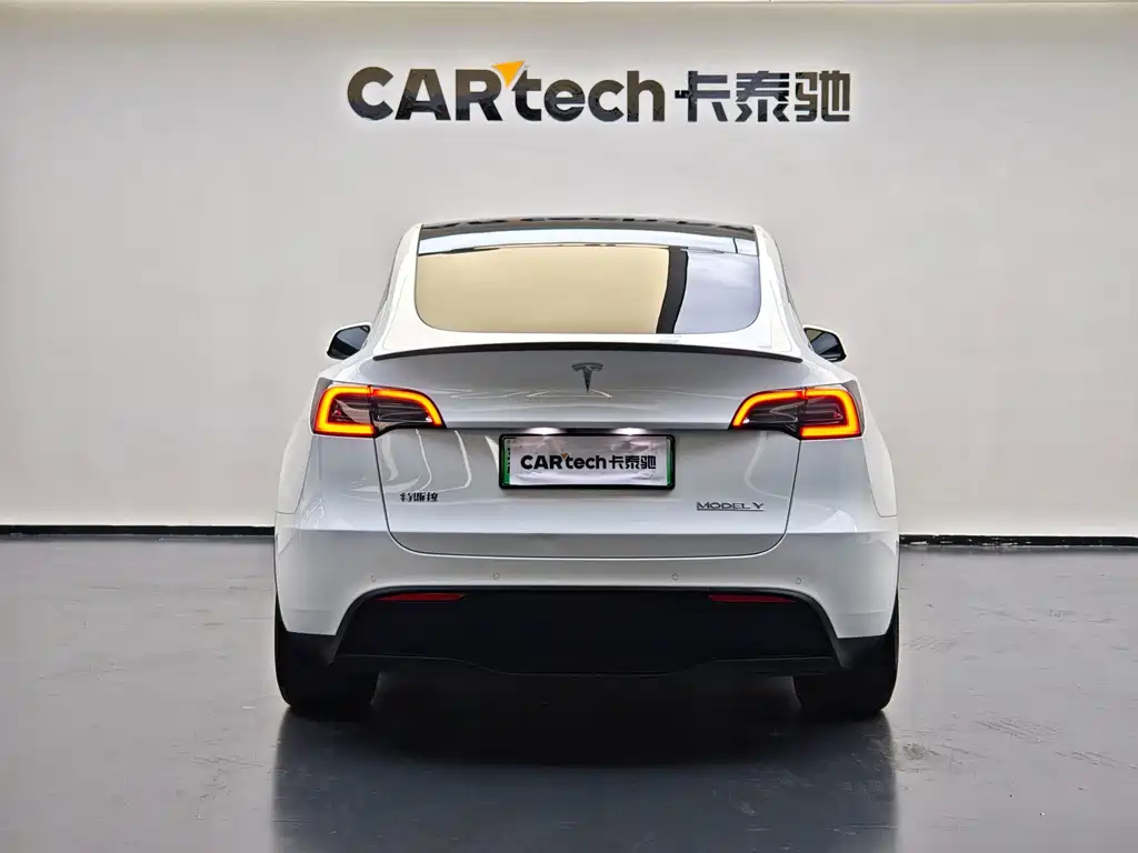Tesla Model Y — миниатюра 3