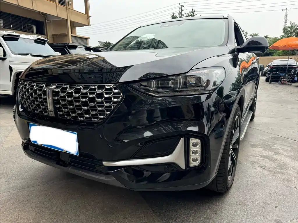 Wey Wey VV6 2020