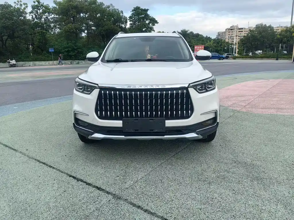 Leopaard Mattu — миниатюра 3