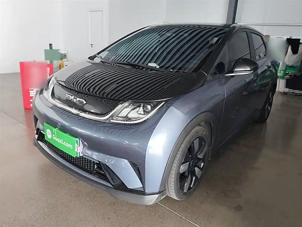 Byd Dolphin 2024