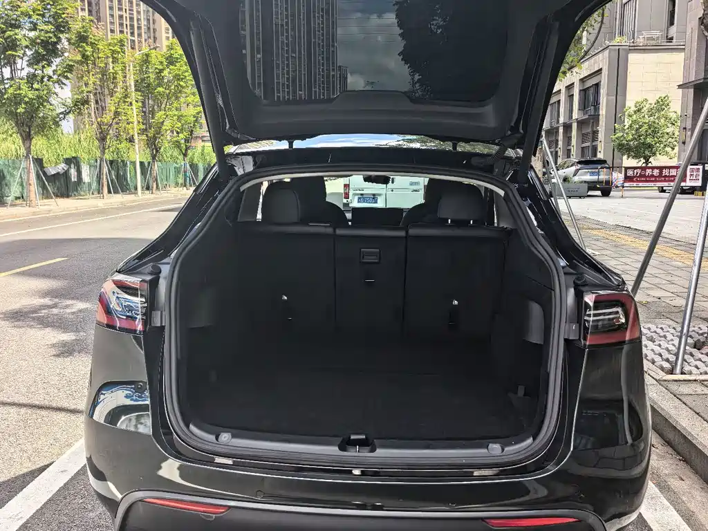 Tesla Model Y — миниатюра 17