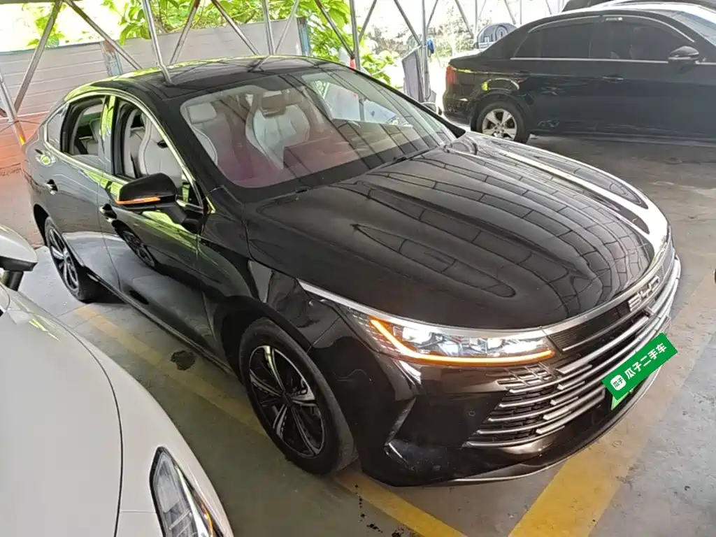 BYD Destroyer 05 — миниатюра 4