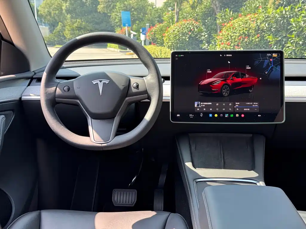 Tesla Model Y — миниатюра 12