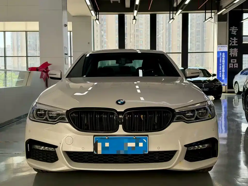 BMW 5 Series — миниатюра 2
