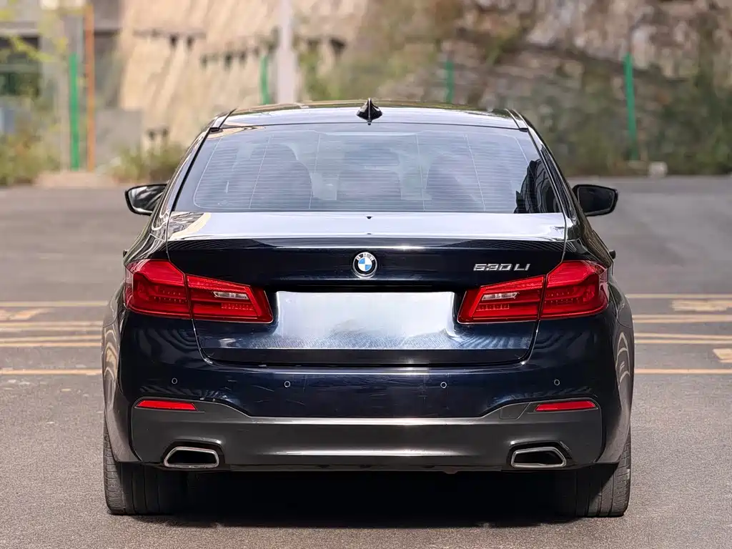 BMW 5 Series — миниатюра 8