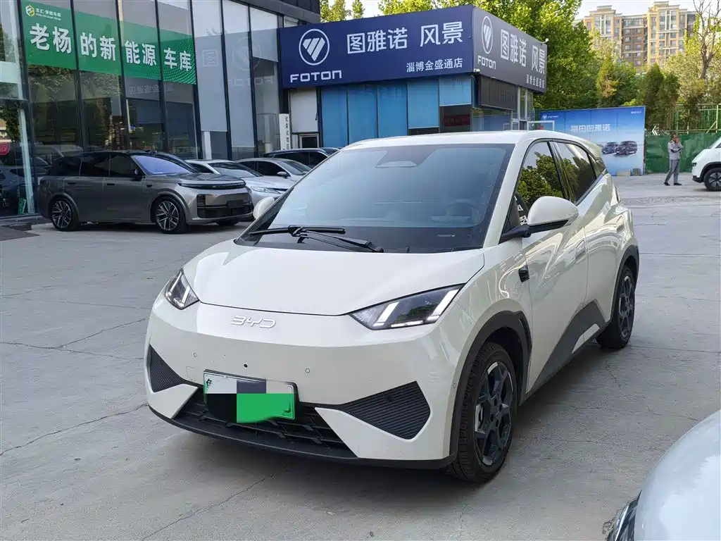 Byd Seagull 2025