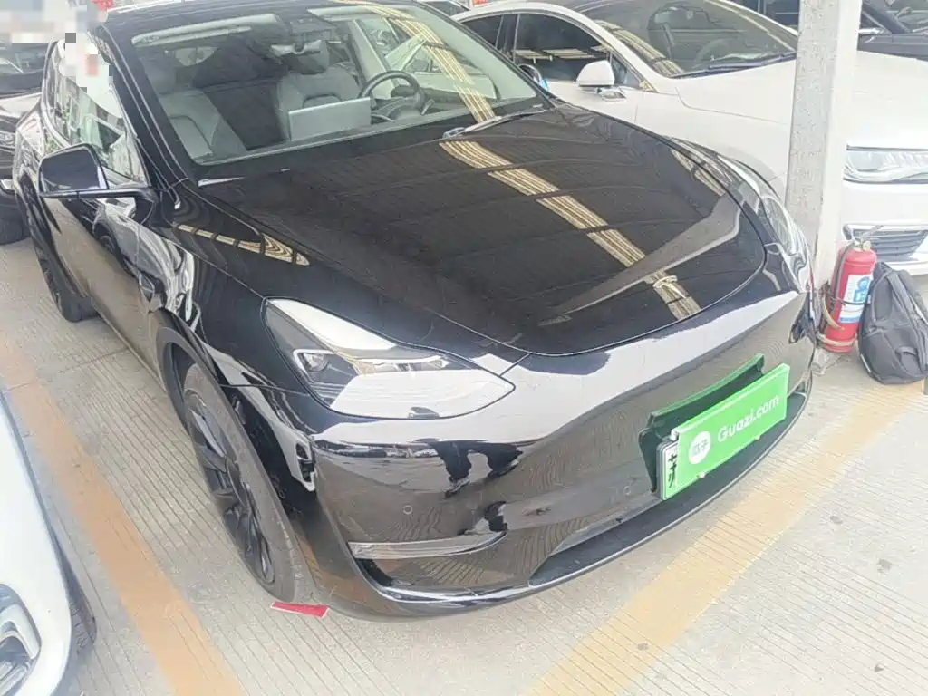 Tesla Model Y — миниатюра 4
