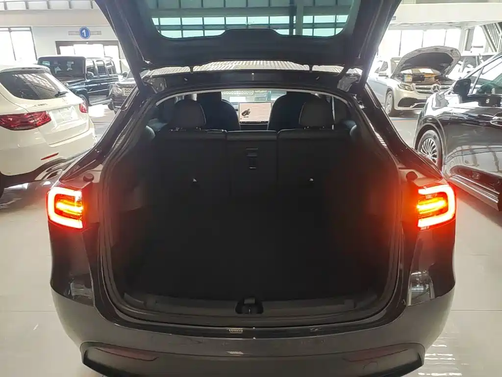 Tesla Model Y — миниатюра 19