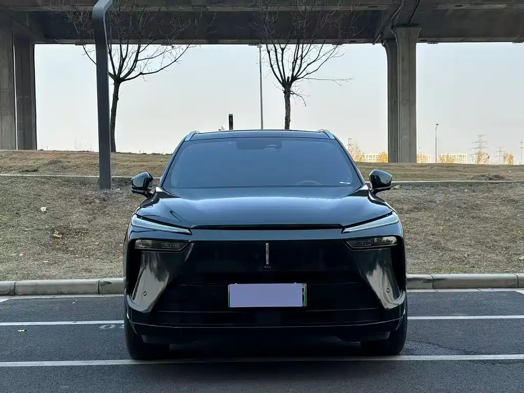 WEI PAI WEI BRAND BLUE MOUNTAIN