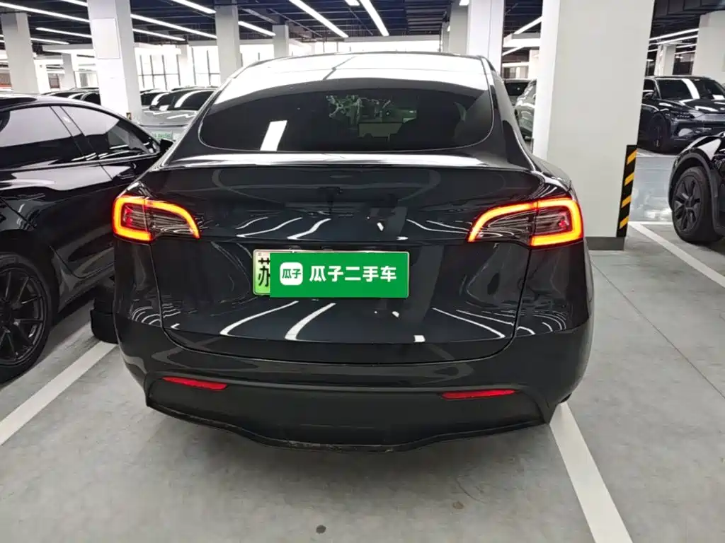 Tesla Model Y — миниатюра 6