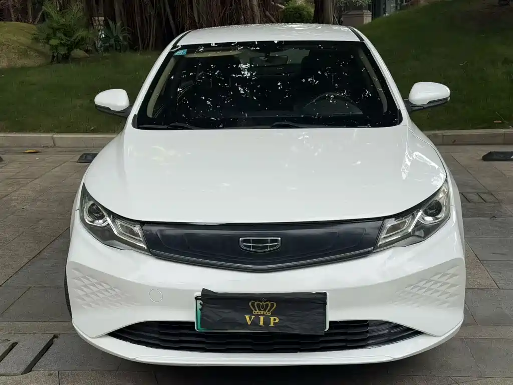 Geely New Energy — миниатюра 2