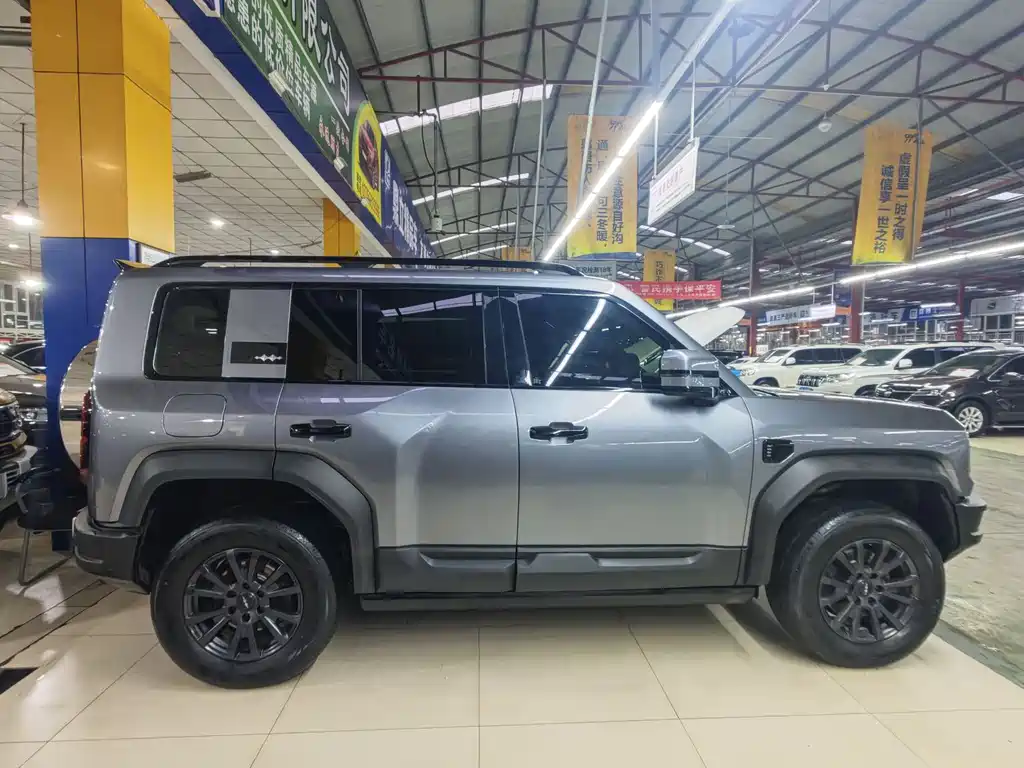 FANG CHENG BAO LEOPARD 5