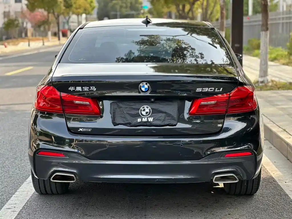 BMW 5 Series 5 2020 530Li xDrive M Sport