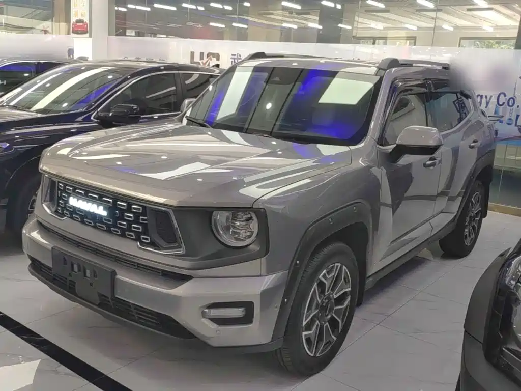 Haval Big Dog PLUS New Energy — миниатюра 2