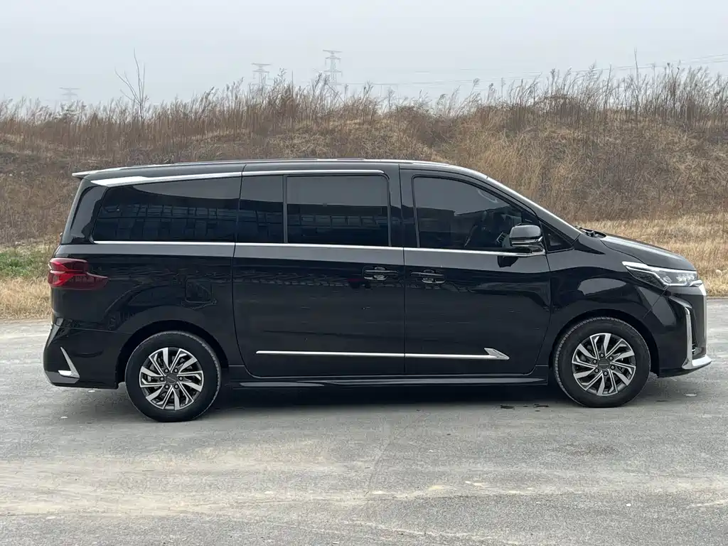 SAIC MAXUS CHASE G20