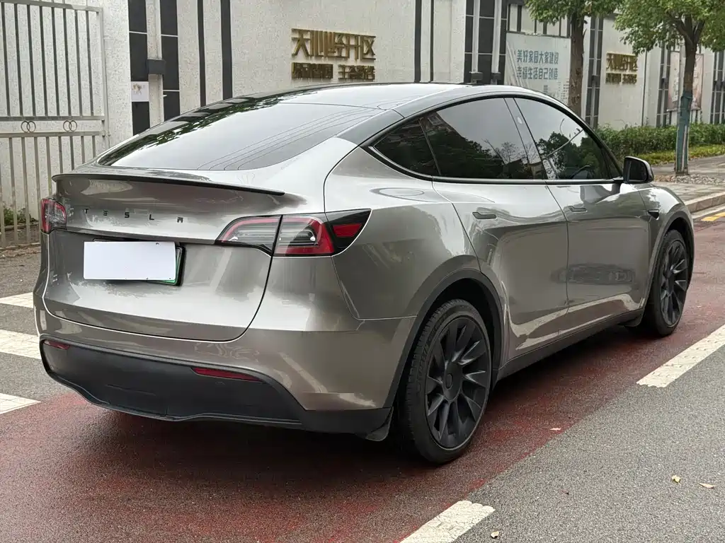 Tesla Model Y — миниатюра 6