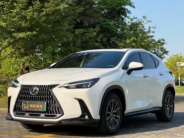 Lexus NX EV