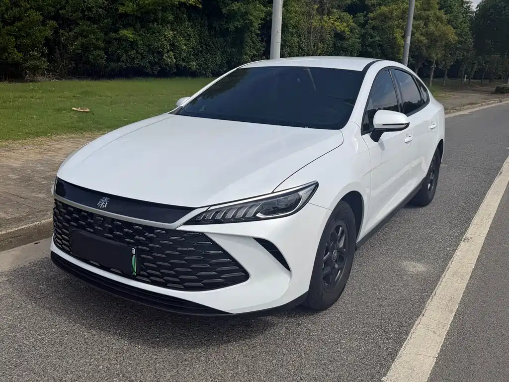 BYD Qin Plus PLUS 2025 DM-i Smart Drive 55KM Lead
