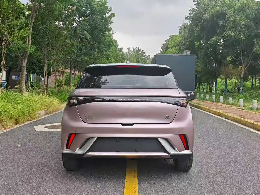BYD Dolphin 2021 405km Fashion