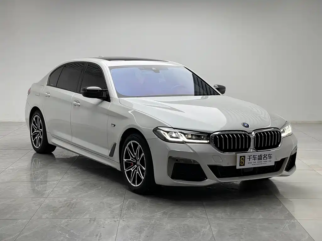 BMW 5 Series New Energy — миниатюра 3