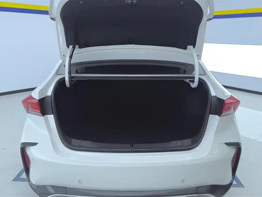 BUICK WEILANG