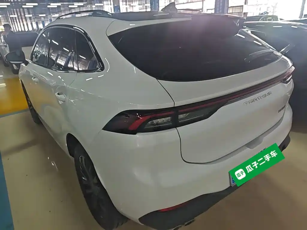 Fengxing Fengxing T5 EVO — миниатюра 5