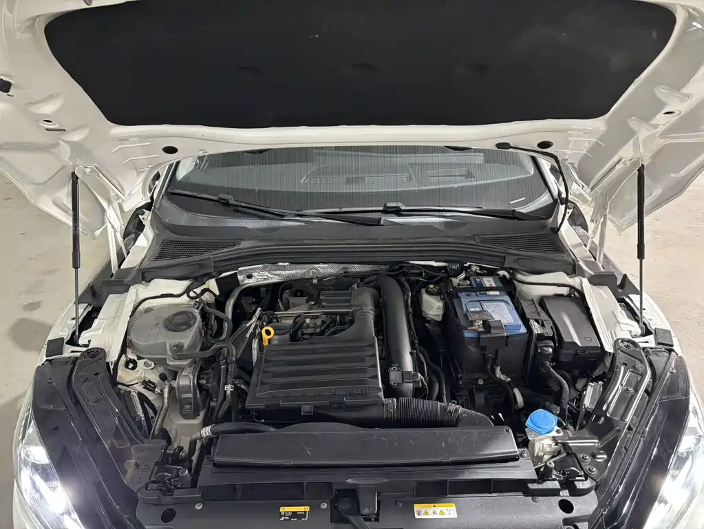 Volkswagen Lamando — миниатюра 22