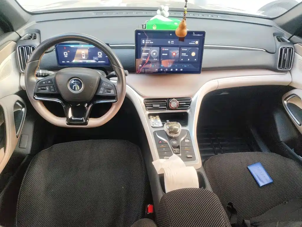BYD Pro New Energy — миниатюра 13