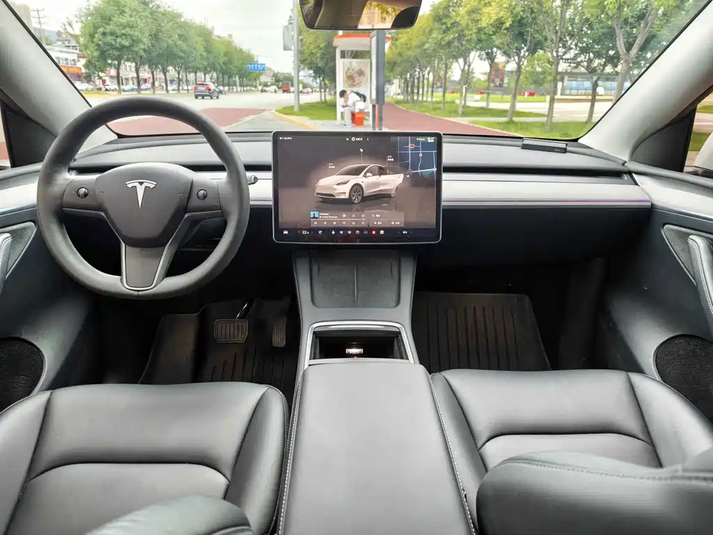 Tesla Model Y — миниатюра 9