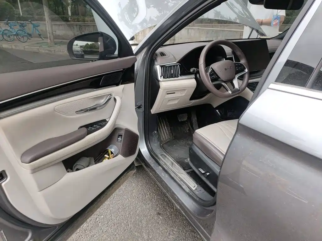 BYD PLUS New Energy — миниатюра 12
