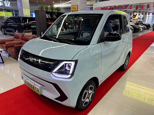 DONGFENG SCENERY MINIEV 2024