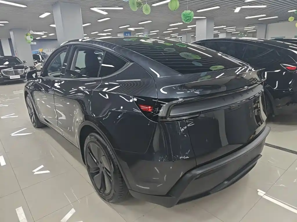 Tesla Model Y — миниатюра 5