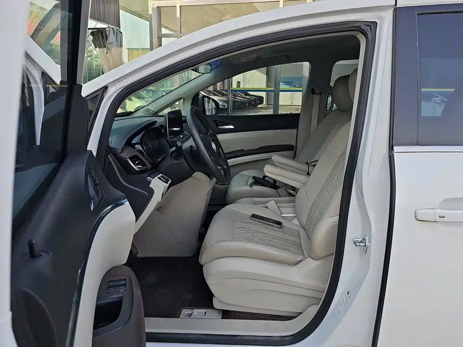 Buick GL8 — миниатюра 9