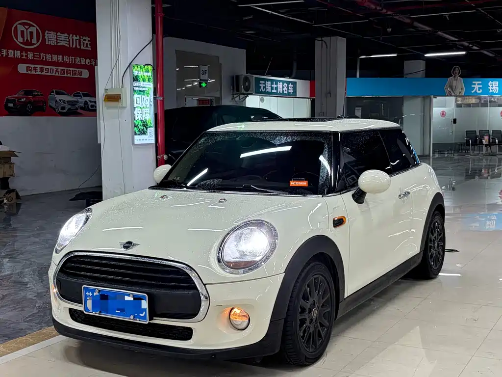 Mini Mini 2018