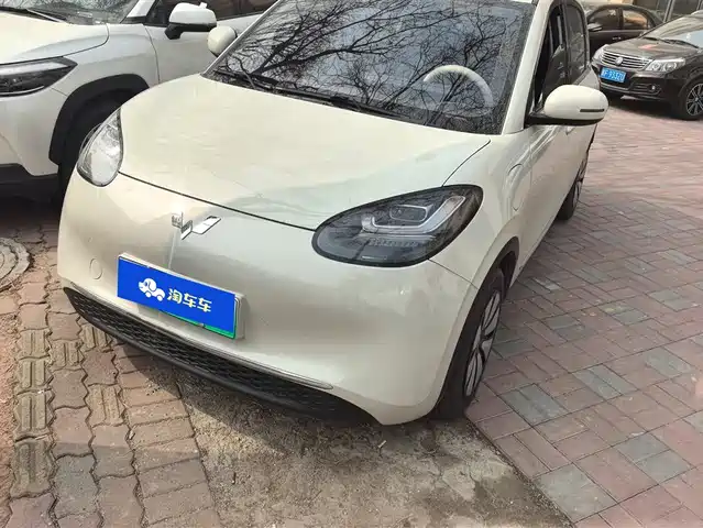 WULING WULING BINGGUO 2024